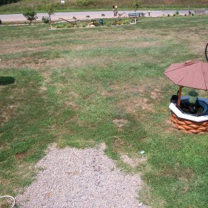 flowrs wisteria tank cover 021