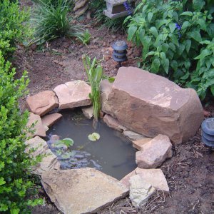 pond Lil 001