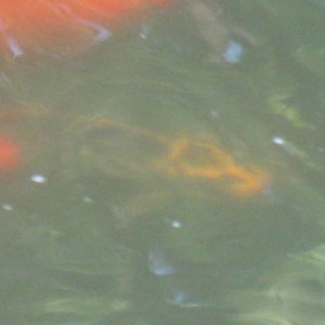 08 13 2011 00037