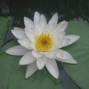 08 13 2011 00043