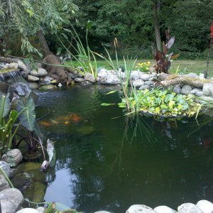IMG 20110921 175444