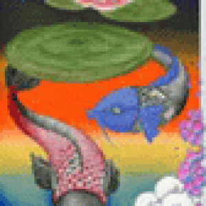 Koi