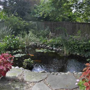 pond 1