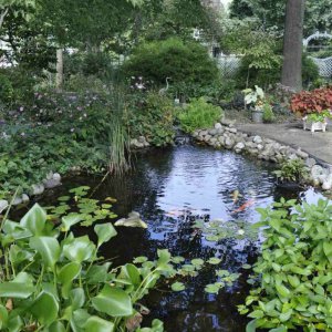 pond 2