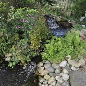 pond 3