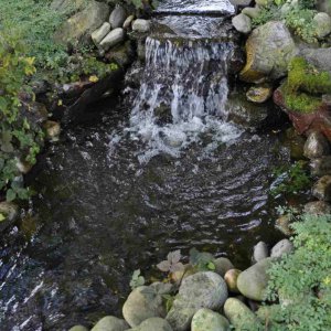 pond 4