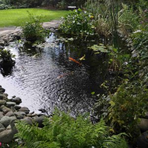 pond 5