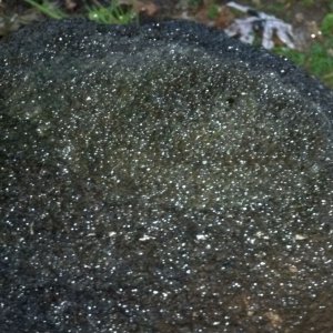 moon rock