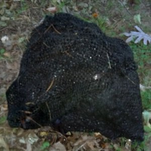 rock In A Bag