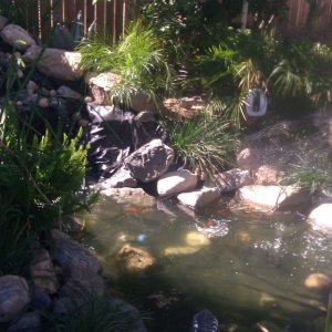 Old Pond