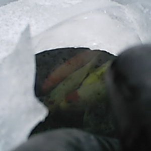 DCFN0028