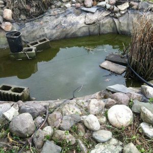 Emptying the pond