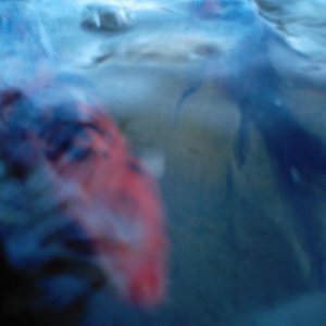 DCFN0020
