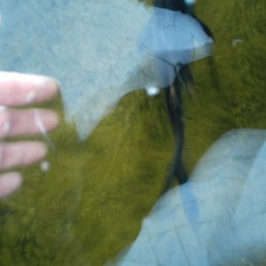 DCFN0027