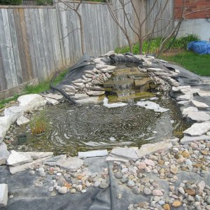 IMG 0518