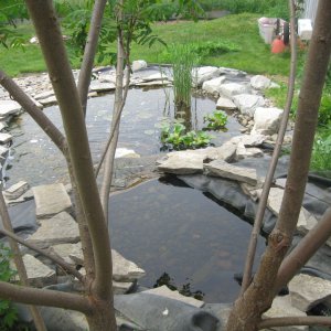 IMG 0530