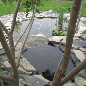 IMG 0531