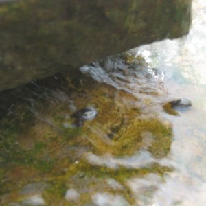 IMG 0532
