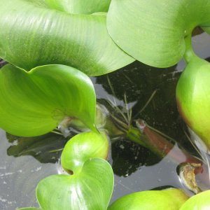 IMG 0533