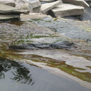 IMG 0535