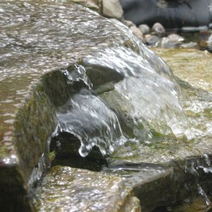 IMG 0537