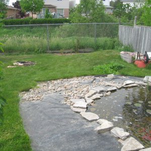 IMG 0539
