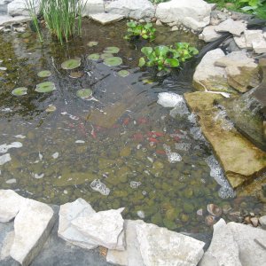 IMG 0540