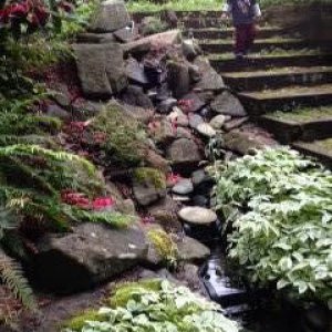 waterfall