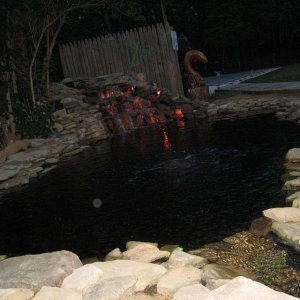 Night shot