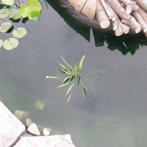 P1010005