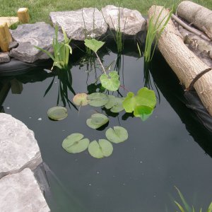 P1010006