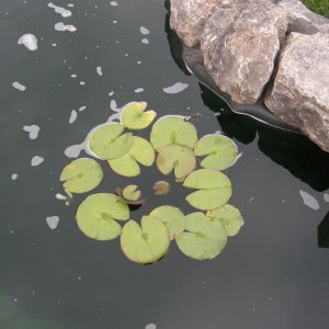 P1010008