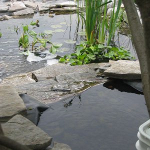 IMG 0562