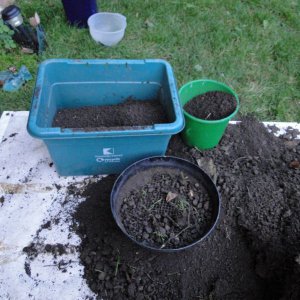 Sieving the soil