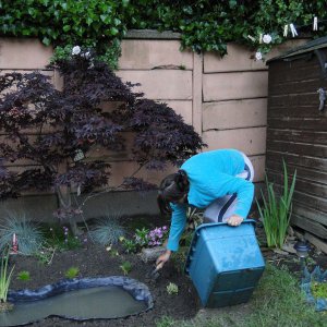 Stocking the border with heathers and grasses