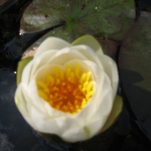 IMG 0567