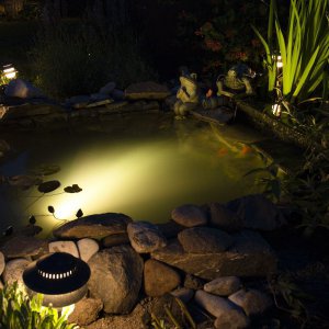 Pond 2012 side view At night