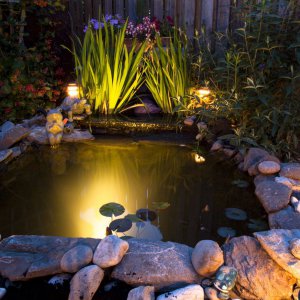 Pond 2012 front view At night