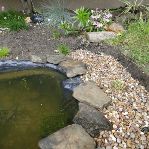 Wildlife Pond edging begins
