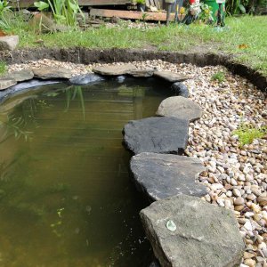 Wildlife Pond edging begins