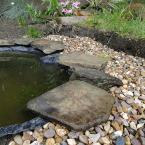 Wildlife Pond edging begins