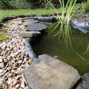 Wildlife Pond edging begins