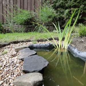 Wildlife Pond edging begins