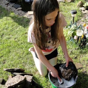 My little helper cleaning the rocks