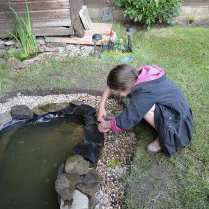 Edging the pond