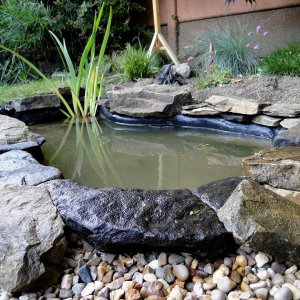 Edging stones