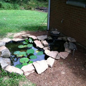 pond as of 6/27/2012