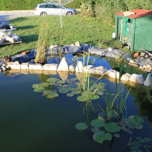 image008