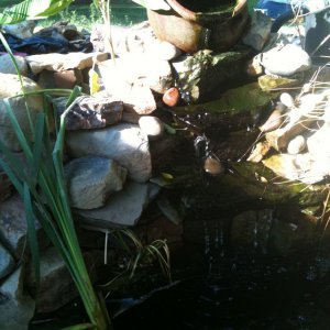 2nd pond in progress