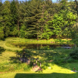 Stream and Pond behind my house.